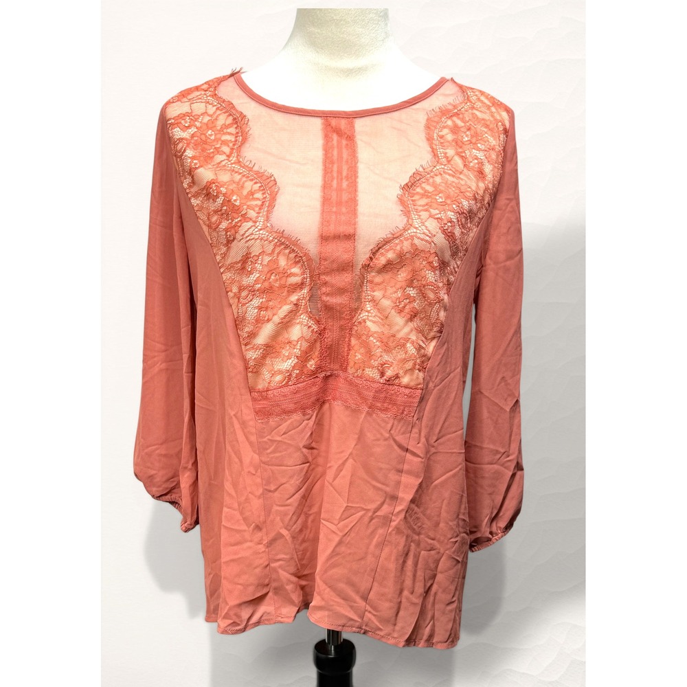 BKE Boutique Lace Mesh Panel Blouse Women Large Dusty Rose Boho Romantic Sheer